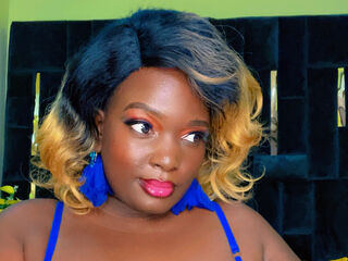 SashaVibez's Live cam tips and shows Profile Image